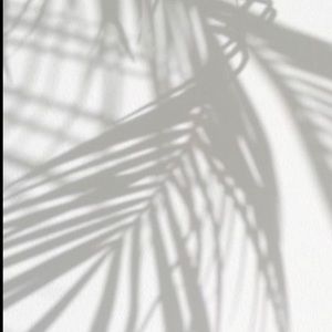 Meet your Posher, Sophia